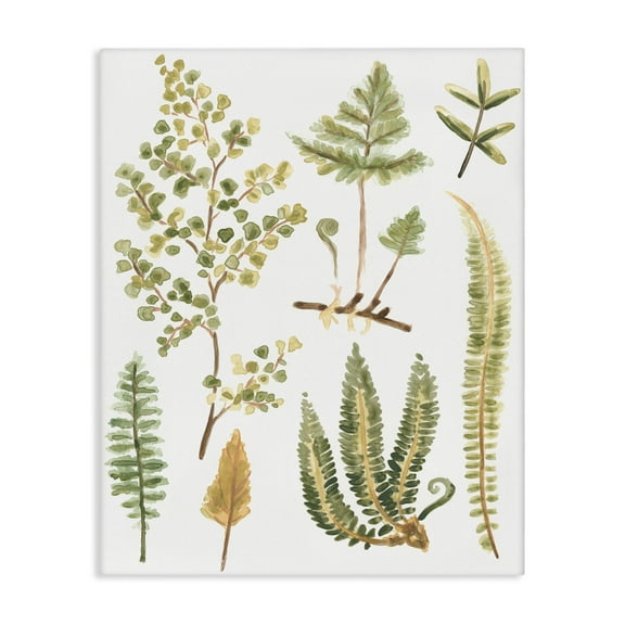 Stupell Industries Wild Forest Ferns Botanical & Floral Painting Gallery Wrapped Canvas Art Print Wall Art, 16 x 20