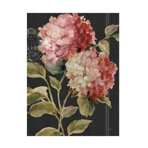 Trademark Fine Art 'Harmonious Hydrangeas' Canvas Art by Lisa Audit