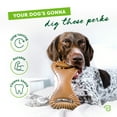 thumbnail image 4 of Benebone Dental Durable Dog Chew Toy for Aggressive Chewers, Real Bacon, Medium, 4 of 8