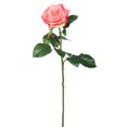 thumbnail image 1 of Tige Florale Toucher Réel&44; Rose - 26 Po - Pack de 3, 1 of 1