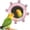 Pink, variant on Birdcage Mirror Toy: Rotating, Sound-Emitting Roller Toy for Budgerigars—A Colorful, Interactive Beak-Grinding and Training Toy Suitable for Canaries, Lovebirds, Conures, and Cockatiels.,Green