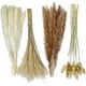 thumbnail image 1 of BEMS-80 piezas 42,5 cm 15 piezas blanco 15 piezas marrón 30 piezas cañas 20 piezas, 1 of 5