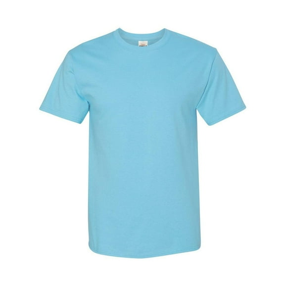 Hanes 5250T Men's Authentic-T T-Shirt