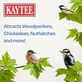 thumbnail image 4 of Pastel de semillas de pájaro Kaytee Wild Woodpecker 840g, 4 of 9