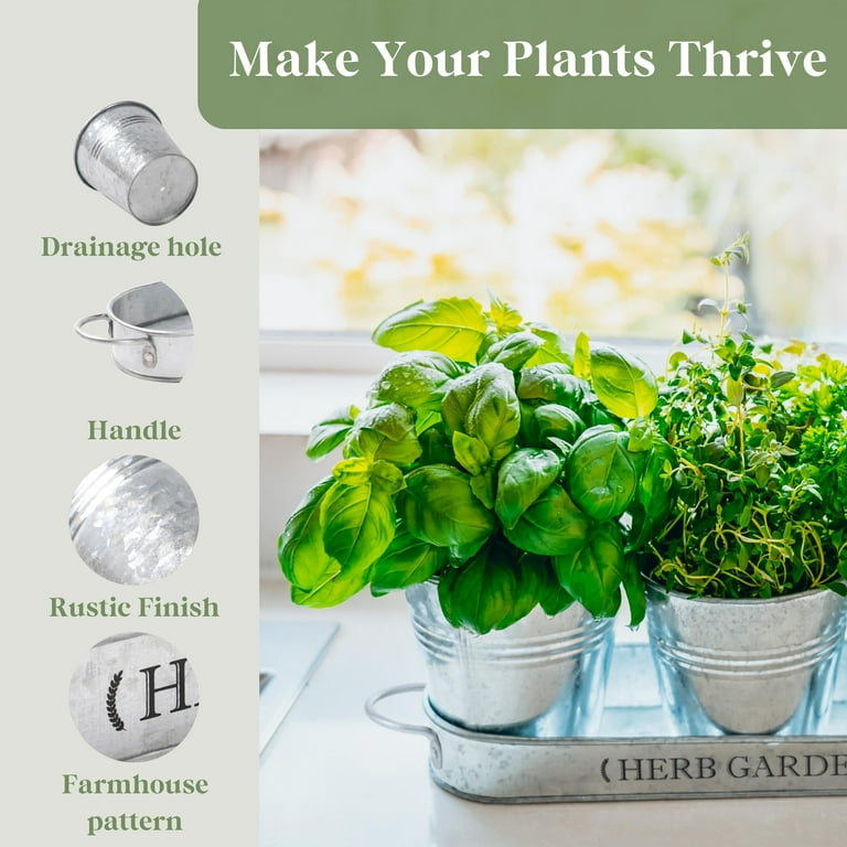 Galvanized Herb Pots Set - Windowsill Planter Kit