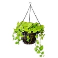 thumbnail image 3 of Gardening Chain Hanging Chain Plastic Ceramic Flower Pot Hanging Basket Chain, 3 of 5