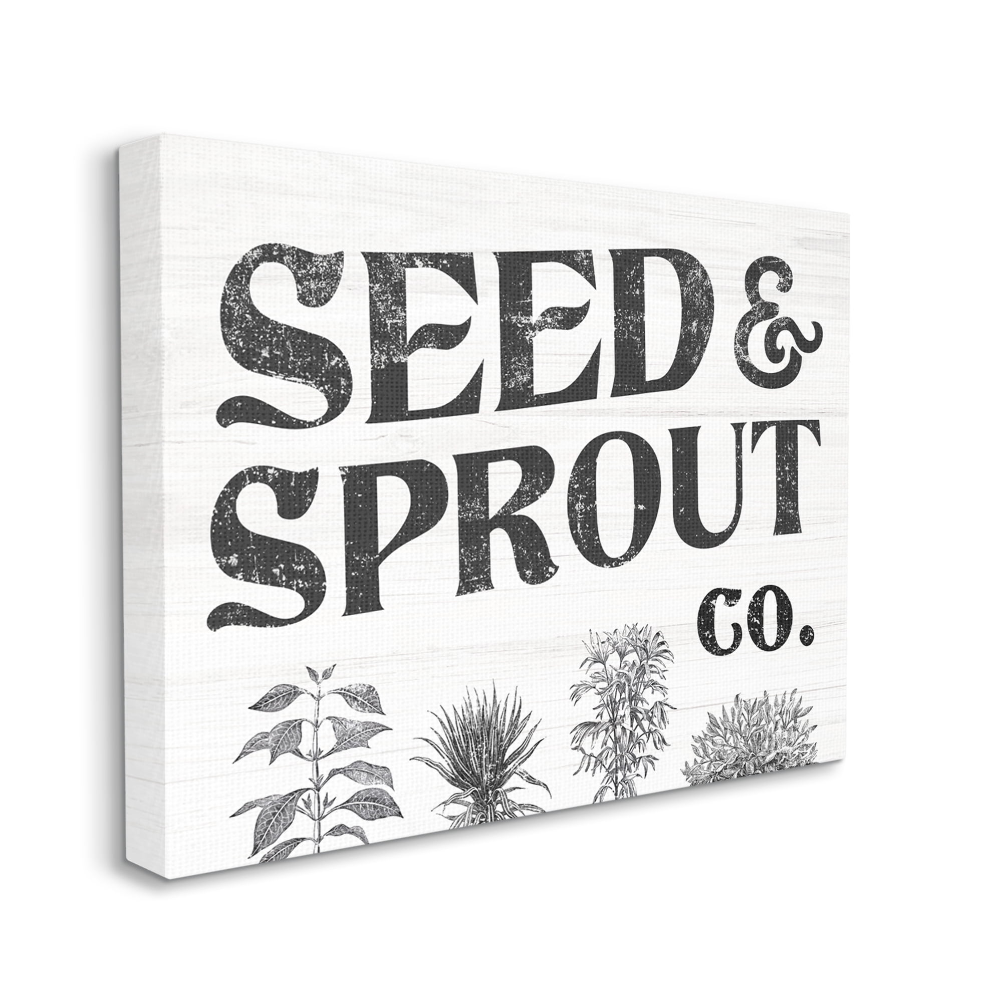 Stupell Industries Seed & Sprout Antique Botanicals Gardening Typography Graphic Art Gallery Wrapped Canvas Print Wall Art, Design by Daphne Polselli