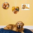 thumbnail image 3 of Air Freshener Blanks DIY Air Freshener Sheets Heat Press Felt Air Freshener with Elastic Cord for Home Car Decoration, 3 of 5
