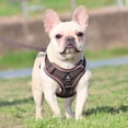 thumbnail image 3 of Pet Artist Step In Dog Harness and Walking Leash Set Reflective Mesh Pet Cat Puppy Chest Strap Vest, 3 of 4