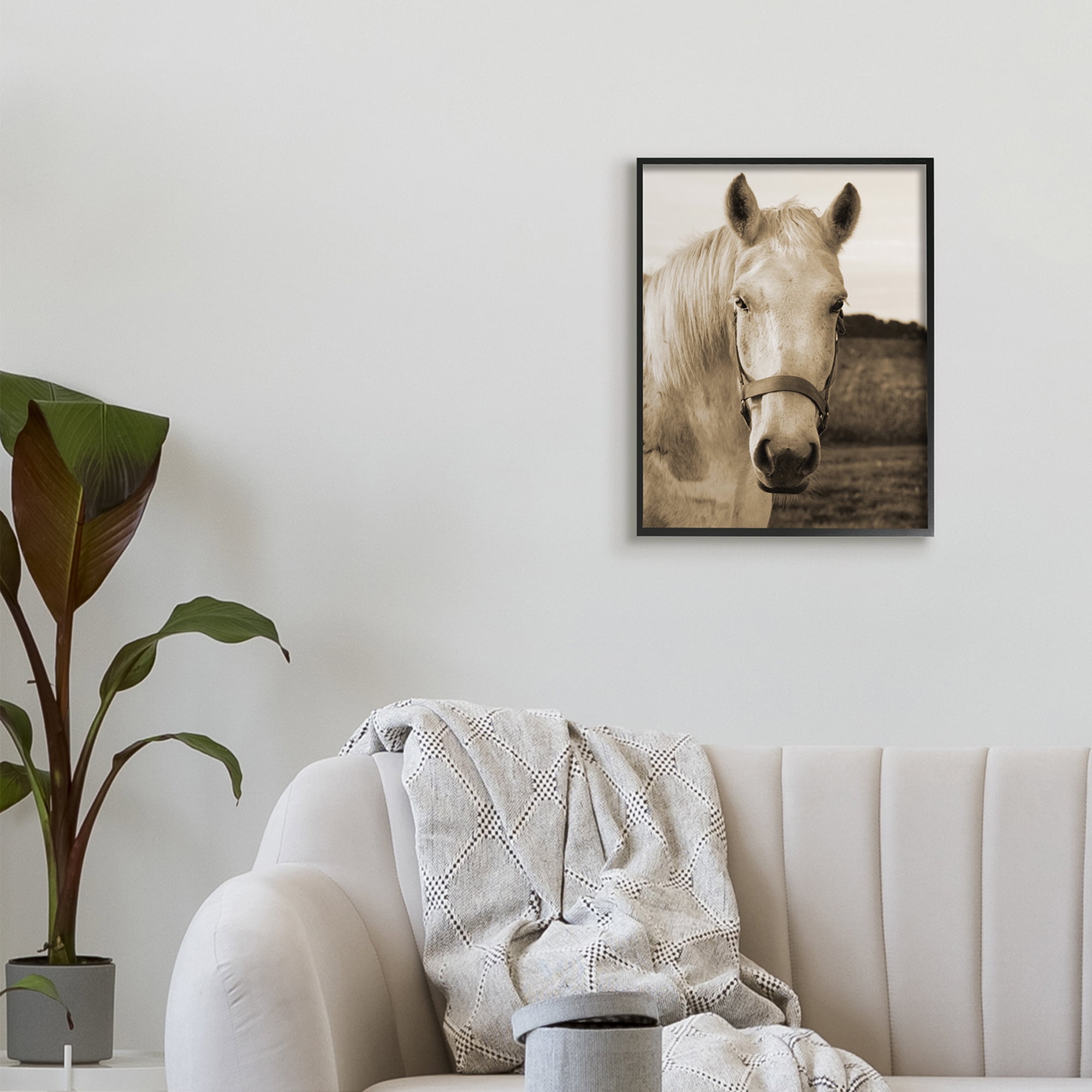 Rustic Sepia Tone Portrait Of Horse 16 in x 20 in Framed Photography Art Prints, by Stupell Home Décor