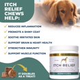 Pet Scy Anti Itchy Skin Chewables For Dogs Single Pack 5 3oz