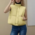 thumbnail image 2 of Daznico Winter Sleeveless Quilted Down Vest with Stand Collar Short for Warmth Outerwear,Womens Vest,M, 2 of 5