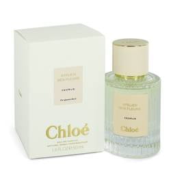 Chloe Cedrus Eau de Parfum Spray de Chloe Chloe Model