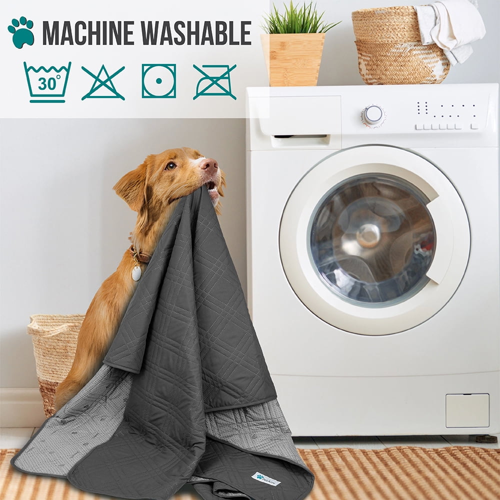 Waterproof dog blankets uk 2025