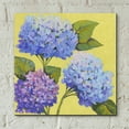 thumbnail image 5 of Epic Art 'Spring Hydrangeas II' by Tim O'Toole, Acrylic Glass Wall Art, 12"x12", 5 of 7