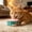 Pink, variant on Cififendec Silicone Pet Can Lid, 3.93", Reusable Dust Proof Food Sealer Cover for Dog Cat Wet Food Tin Storage Fresh Keeping