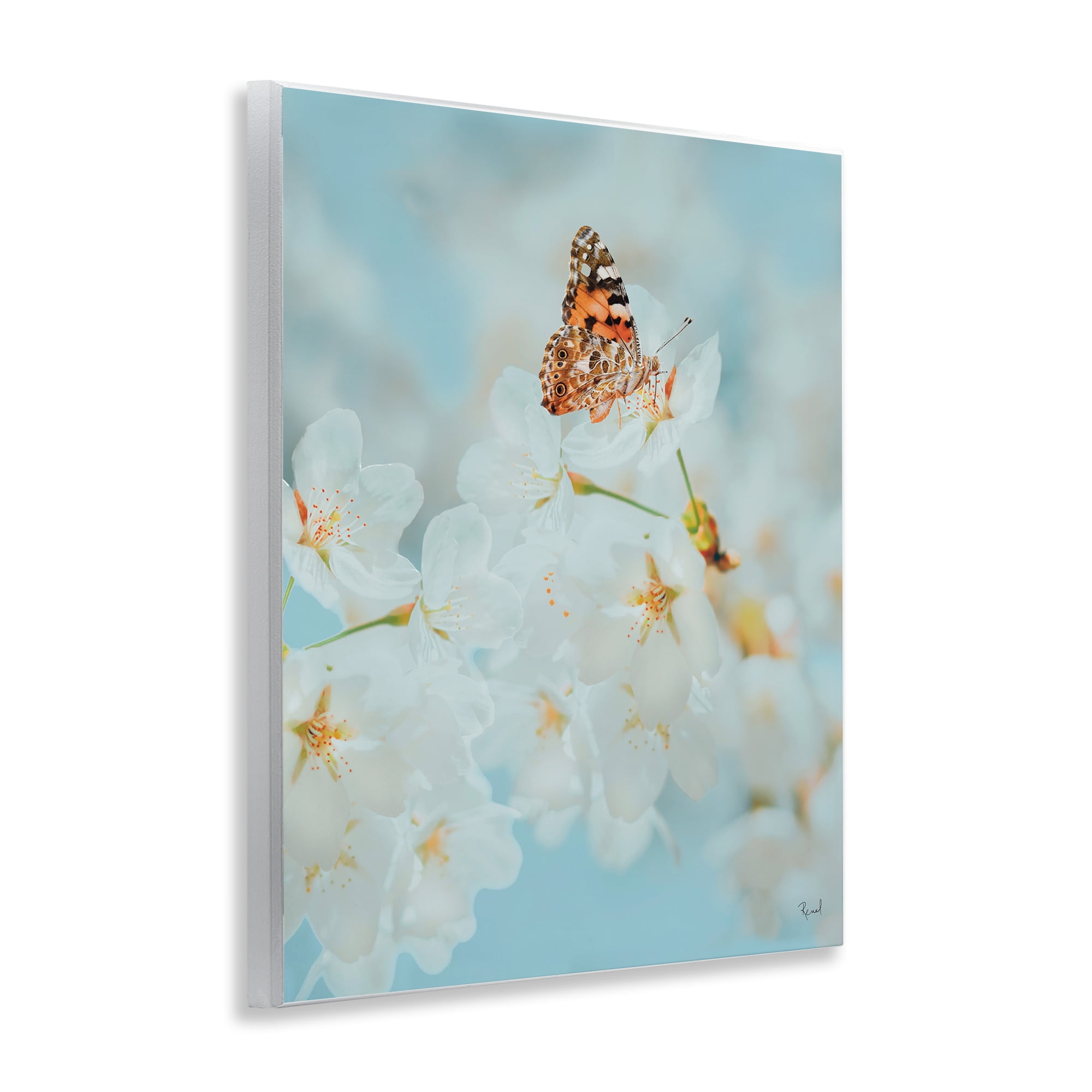 Stupell Industries Pale Blossoms & Butterfly Animals & Insects Photography Unframed Art Print Wall Art, 11 x 14