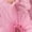 Pink, variant on Sweaters for Women Suitable Fall and Winter Comfortable and resistant to pilling Yellow XL Womens Sweaters