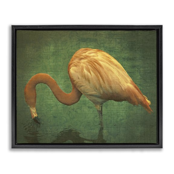 Stupell Industries Eclectic Dark Flamingo in Pond Black Floating Frame Canvas Art, 21 x 17, by Graffitee Studios