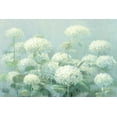 thumbnail image 2 of Nai, Danhui 14x11 White Modern Wood Framed Museum Art Print Titled - White Hydrangea Garden Sage Crop, 2 of 4