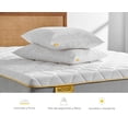 thumbnail image 3 of Nooz Nuevo Nuevas Almohadas Essential de Microfibra, Regular, Paquete de 2, 40 x 60 cm, 3 of 5
