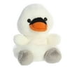 Image thumbnail_image