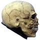 thumbnail image 2 of Máscara De Esqueleto Calavera Junior Skull Disfraz Halloween Ghoulish productions Mascara Completa, 2 of 5