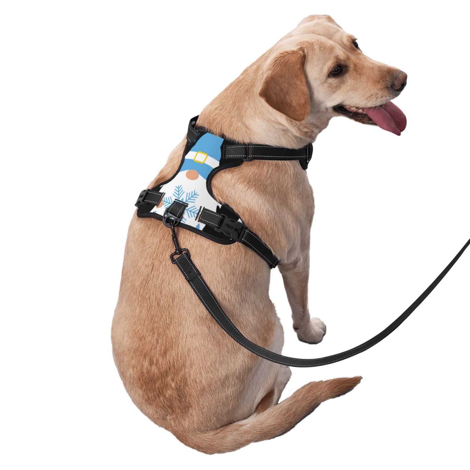 Vsdgher Christmas Gnome Snowflake Dog Harness, No-Pull Pet Harness, Dog Vest, Pet Vest for Small to Large Dogs-Small