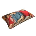 thumbnail image 3 of One Direction Pillowcase decoration waist pillowcase sofa bed cushion suitable for bedroom bed sleeping. 20 x 30 inch, 3 of 3