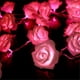 thumbnail image 4 of Guirnalda de rosas con 20 luces LED a pilas, románticas, de 3 m, con flores artificiales, ideal para San Valentín, bodas, interiores y exteriores., 4 of 6