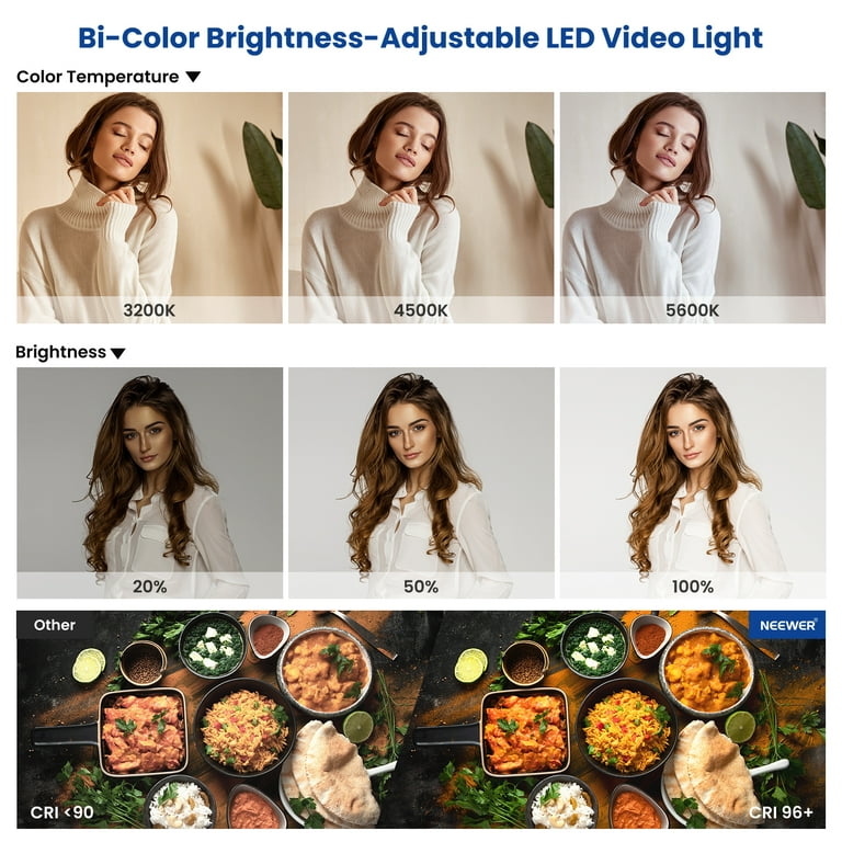 Neewer Professional 660 Bi-Color LED Video Light Kit with U Bracket and  Barndoor