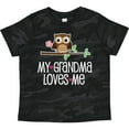 thumbnail image 3 of Inktastic My Grandma Loves Me Girls Girls Toddler T-Shirt, 3 of 5