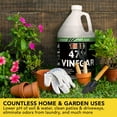 MILX 47 Vinegar, Extra Strength Industrial Grade Concentrate, Gallon