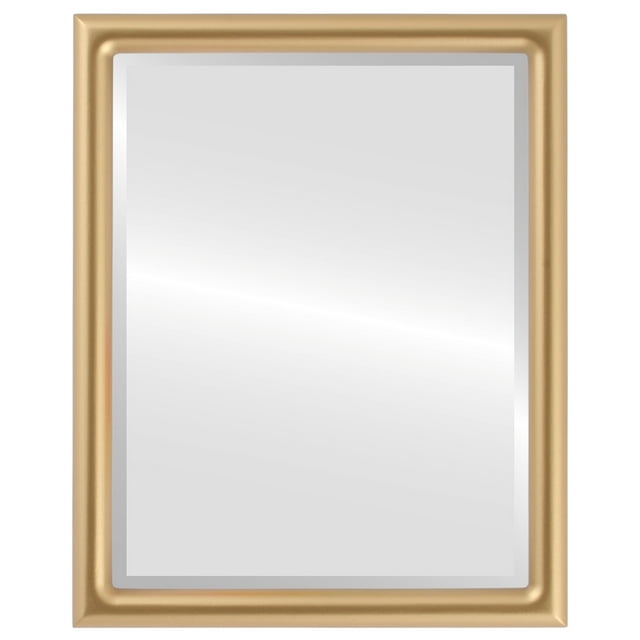 Pasadena Framed Mirror - Gold Spray