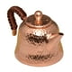 thumbnail image 3 of Hervidor de mango aislado, Infusor de té, tetera de Kung Fu, hervidor de agua para Hotel, Camping, casa, senderismo, cocina, 3 of 8