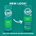 thumbnail image 2 of Pasta de dientes Tom's of Maine Wicked Fresh! con flúor, 120 ml, paquete de 3, 2 of 7