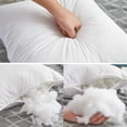thumbnail image 4 of Leeden Insertos de almohada de 16 x 16 (juego de 2) - Insertos de almohada con funda 100% algodón - Insertos de almohada de sofá interior cuadrados de 16 pulgadas - Par de insertos de almohada decorat, 4 of 5