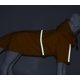 thumbnail image 3 of Sudadera impermeable amarilla para perros CHAO reflectante para mascotas tamaño XXL, 3 of 5
