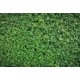 thumbnail image 3 of Fondo de fotografía con hojas verdes, hierba primaveral, montón de heno, para recién nacidos, cumpleaños, bodas, fiestas, accesorios para estudio fotográfico, 3 of 5