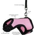 thumbnail image 4 of GYTY Rabbit Harness and Leash Set - Adjustable Escape-Proof Training and Walking Gear for Guinea Pigs Bunnies Chinchillas Hamsters Ferrets Rats Kittens and Small Dogs Puppies Cats (Black,L), 4 of 7