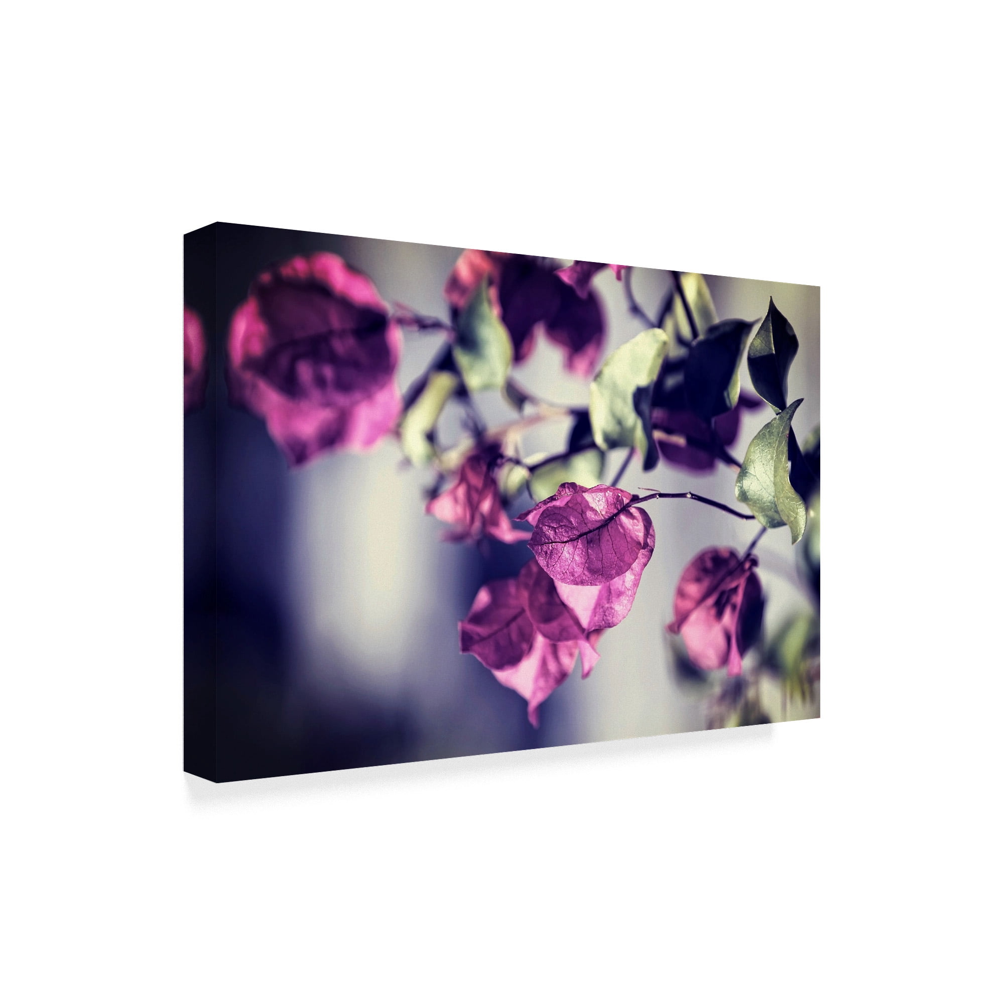 Trademark Fine Art 'Purple Macro' Canvas Art by Incredi