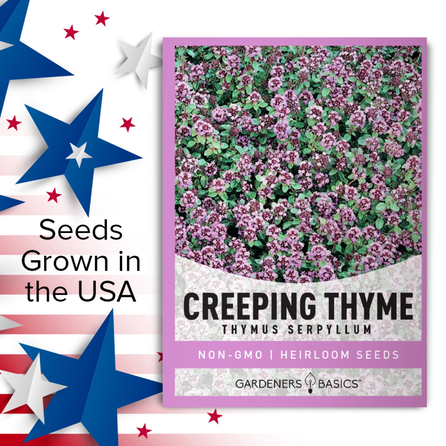 Creeping Thyme Seeds
