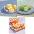 thumbnail image 1 of Great Art Now Still Citrus by Carol Young 3 Piece Canvas Art Set Each 14W x 14H, 1 of 4