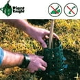 thumbnail image 4 of Protection de protection contre les Animaux de Pommier et de Plante, Pack de 3 (Vert), 4 of 7