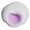 Purple, variant on Topoo Blue Translucent Textured Squeeze Gadget Stress Management Accessory Celebration Supply 2.36 Inch