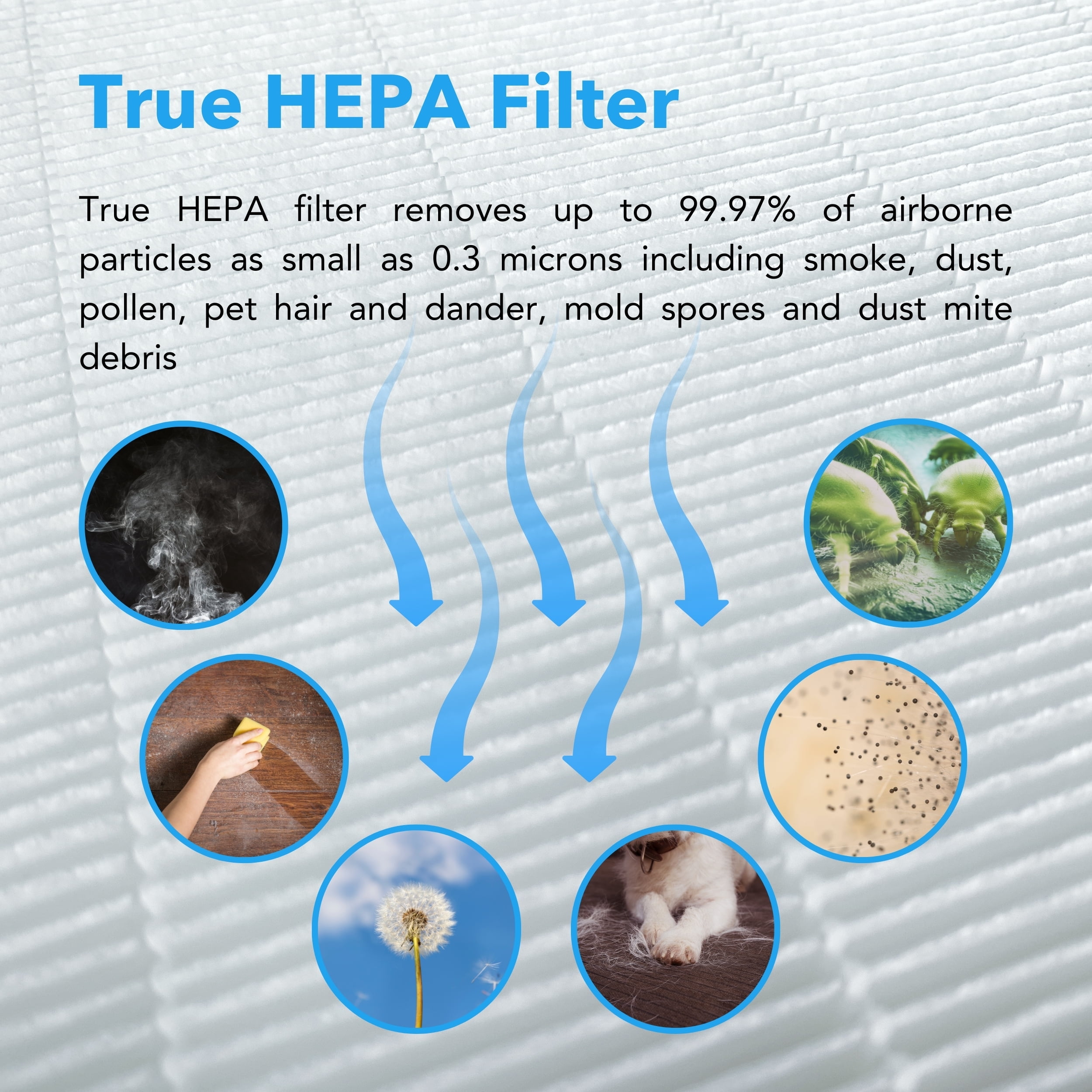 Hunter HP850UV Air Purifier, Black, w/additional filter value pack
