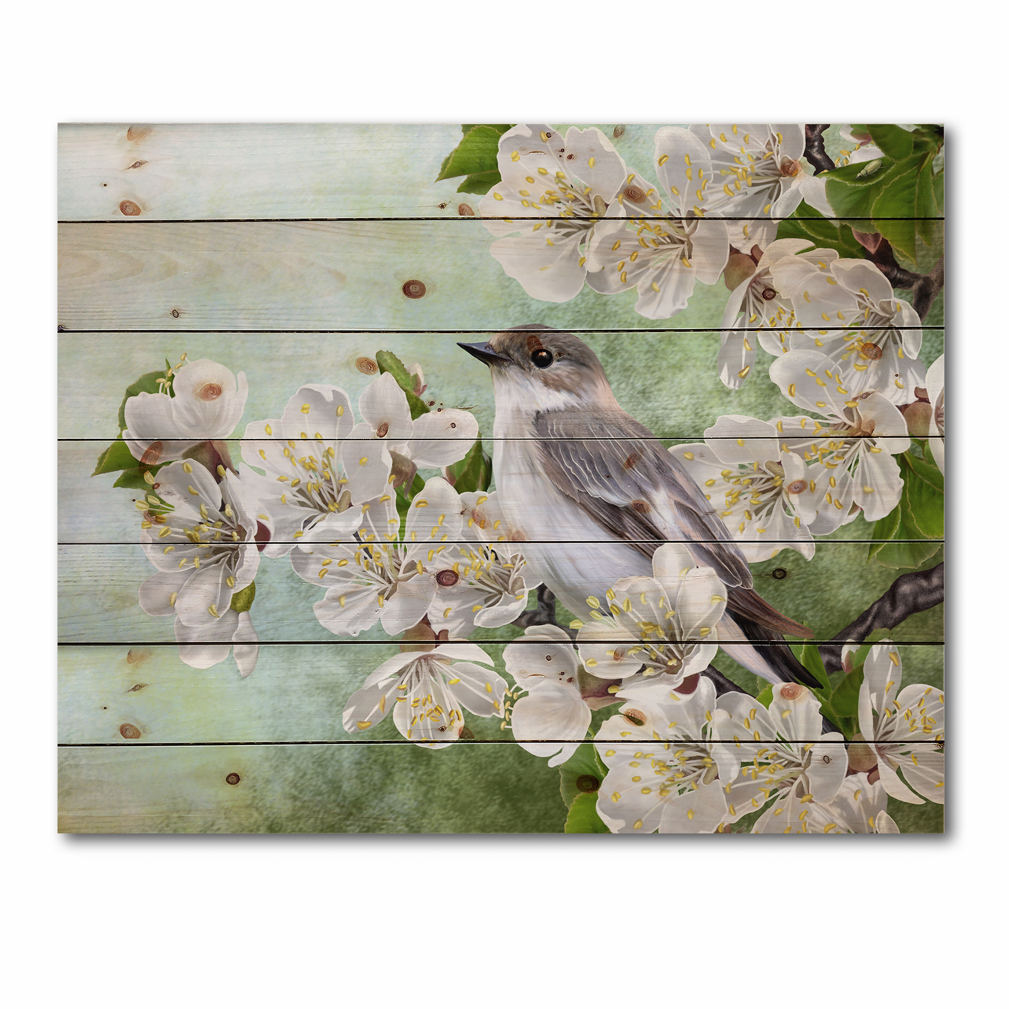 Designart 'Gray Bird Sitting On A Branch of A Blossoming Tree' Traditional Print on Natural Pine Wood