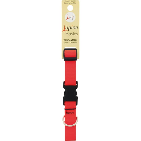 LupinePet Basic Solids Blaze Orange Blaze Orange Nylon Dog Adjustable Collar