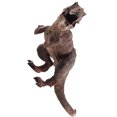 thumbnail image 3 of Worallymy plástico educativo simulado dinosaurio tiranosaurio modelo niños juguete biológico para regalo Worallymy JD735799925, 3 of 6