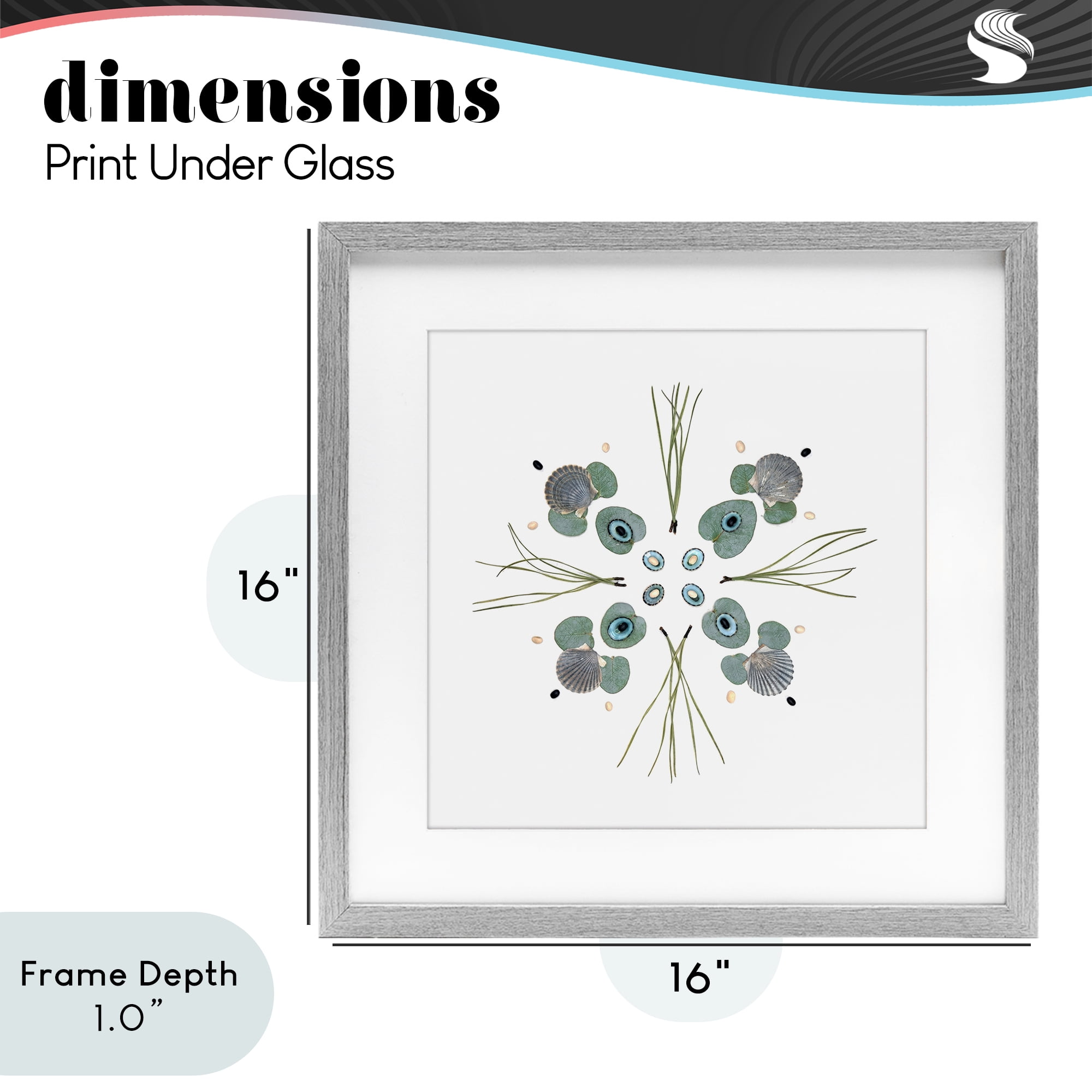Stupell Industries Seashell & Leaf Symmetry Gray Framed Print Under Glass, design by Beth Adoette